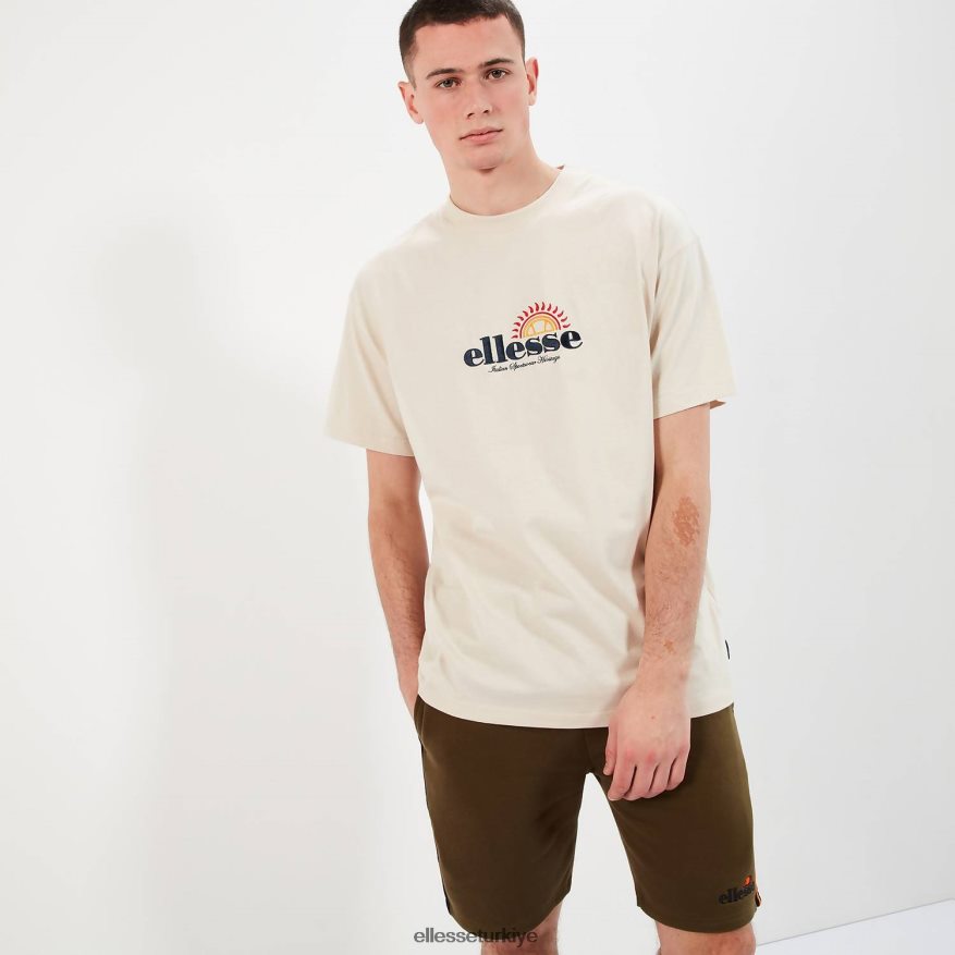 erkekler aestas tişörtü JDV02R346 Giyim Ellesse bej