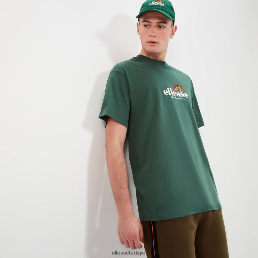 erkekler aestas tişörtü JDV02R347 Giyim Ellesse koyu yeşil