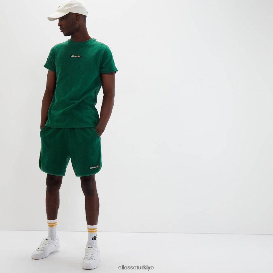 üniseks piaria tişört JDV02R79 Giyim Ellesse yeşil